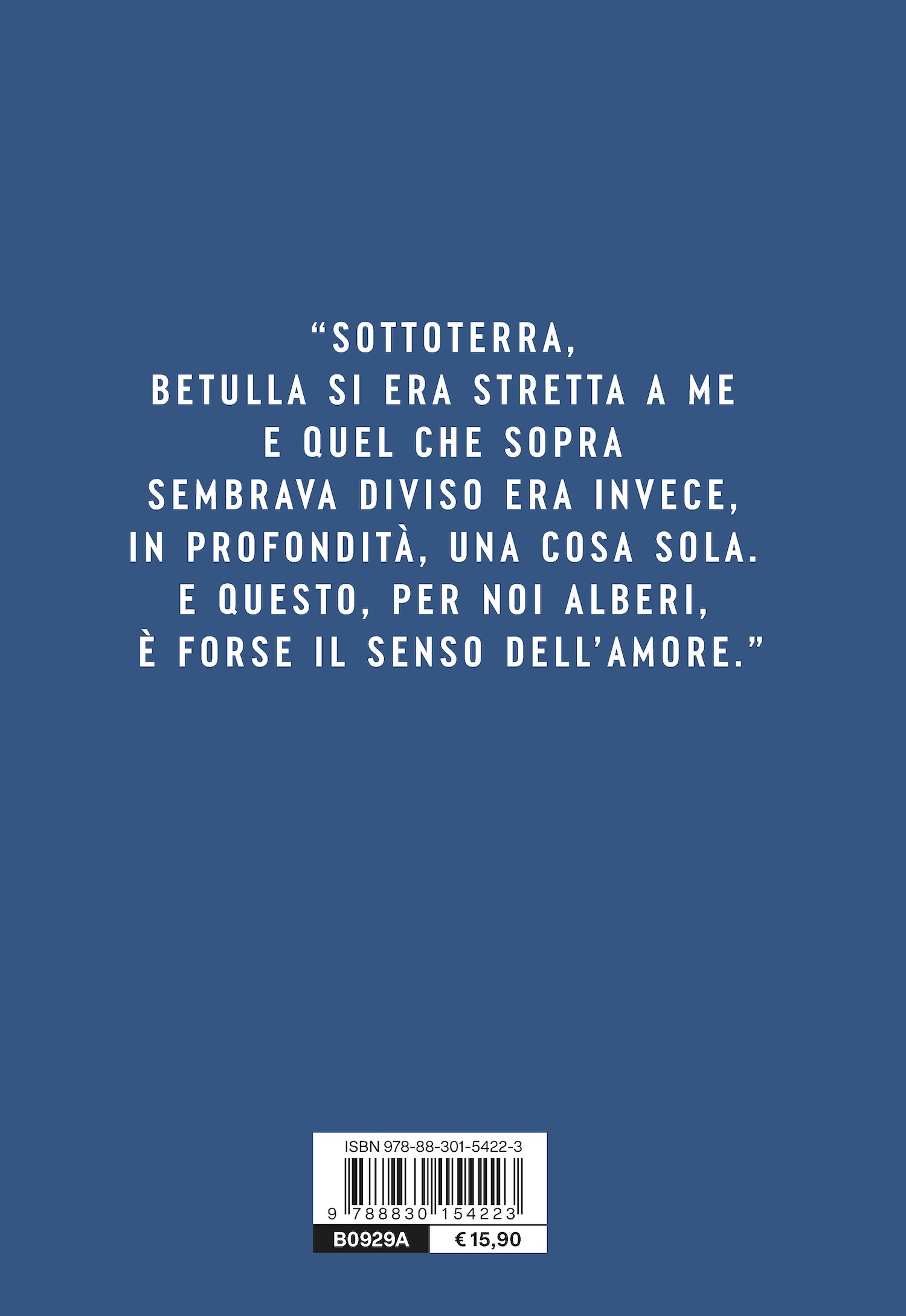 L'abete e la betulla